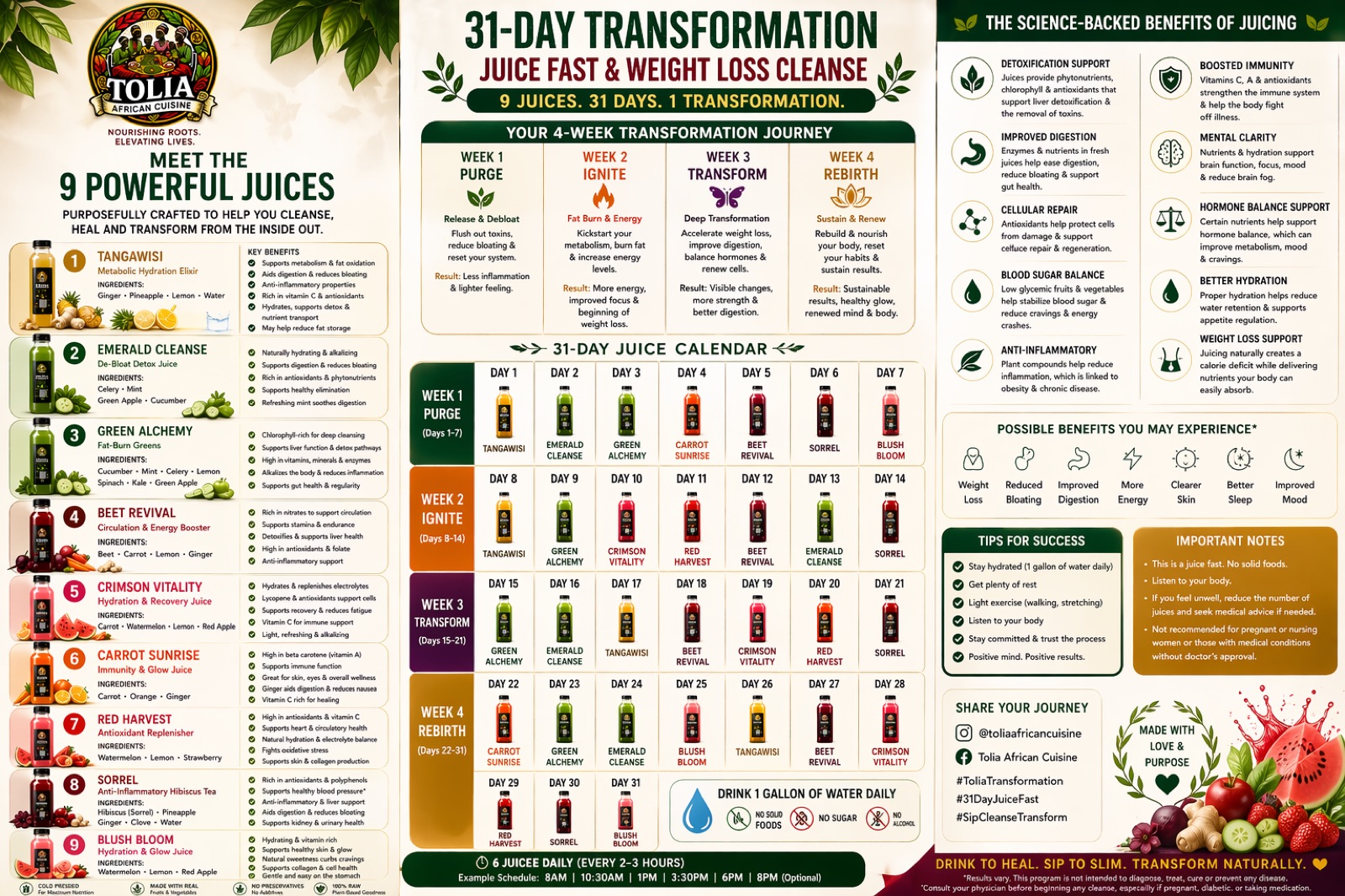 Tolia 31-Day Transformation calendar — week-by-week schedule, 9 juices, science-backed benefits