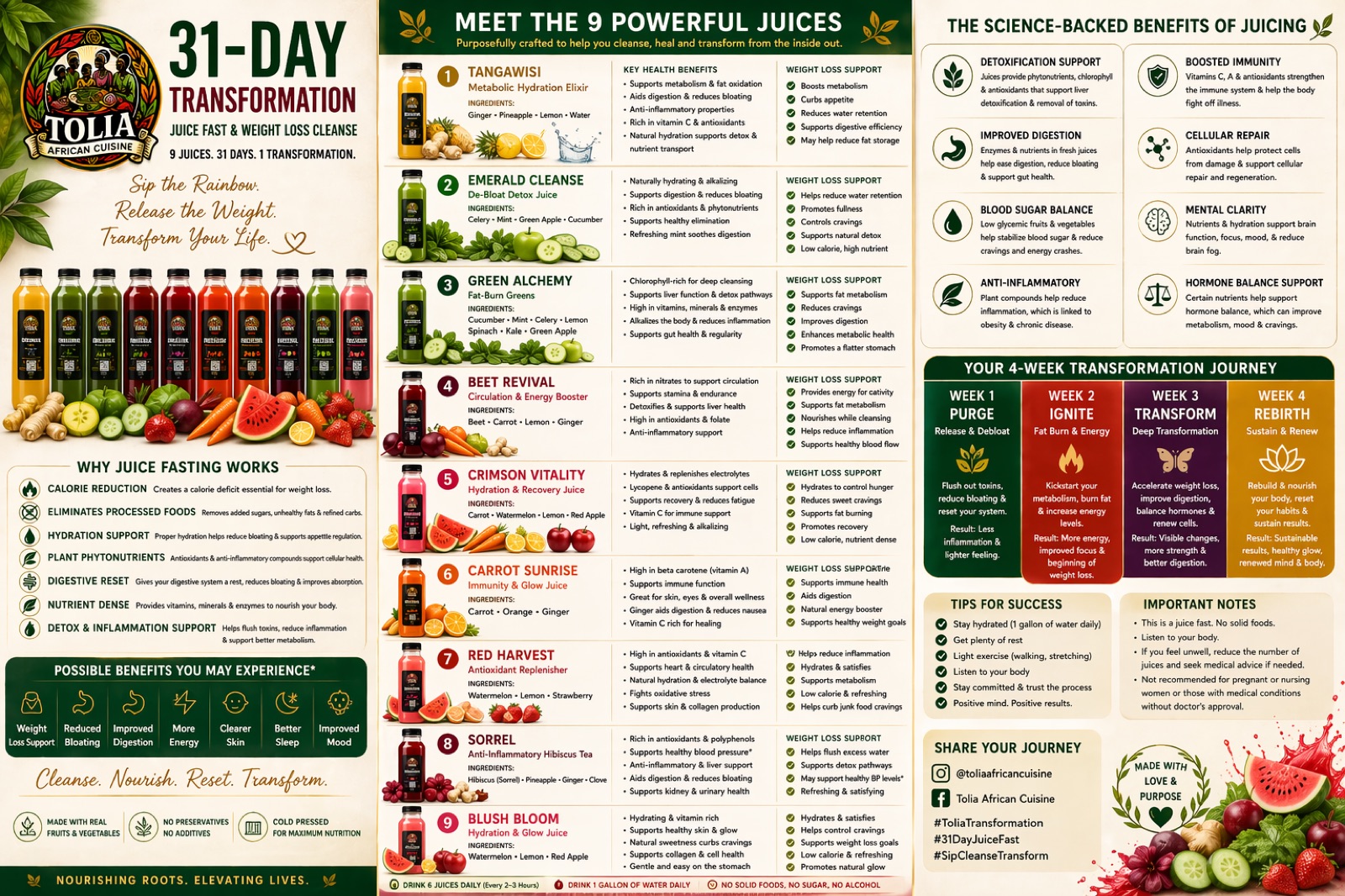 Why the Tolia 31-Day Juice Fast Works — meet the 9 powerful juices, calorie reduction, eliminated processed foods, hydration support, plant phytonutrients, digestive reset